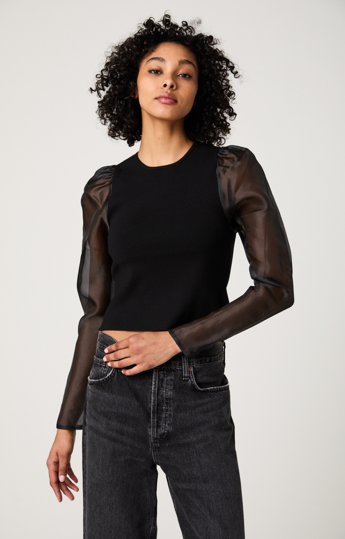 Black Organza Sleeve Top