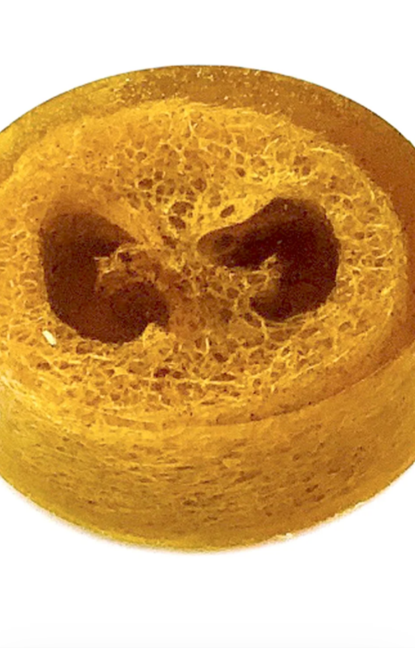 Turmeric & Citrus Loofah Bar Soap