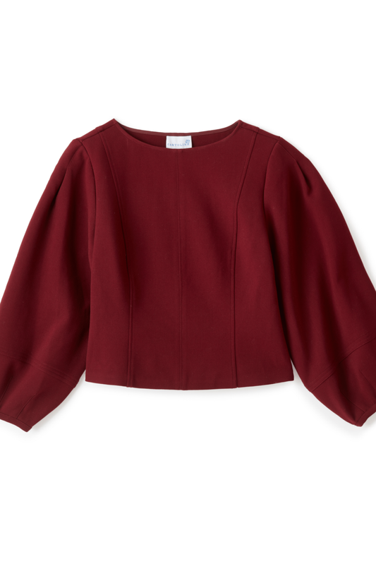 Wine Balloon Sleeve Top