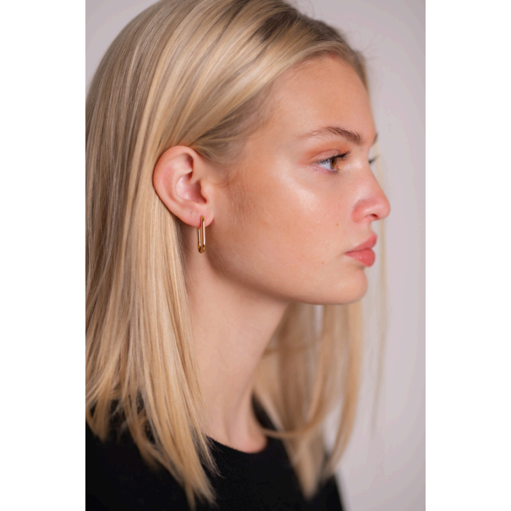 Zelle Double Link Earrings