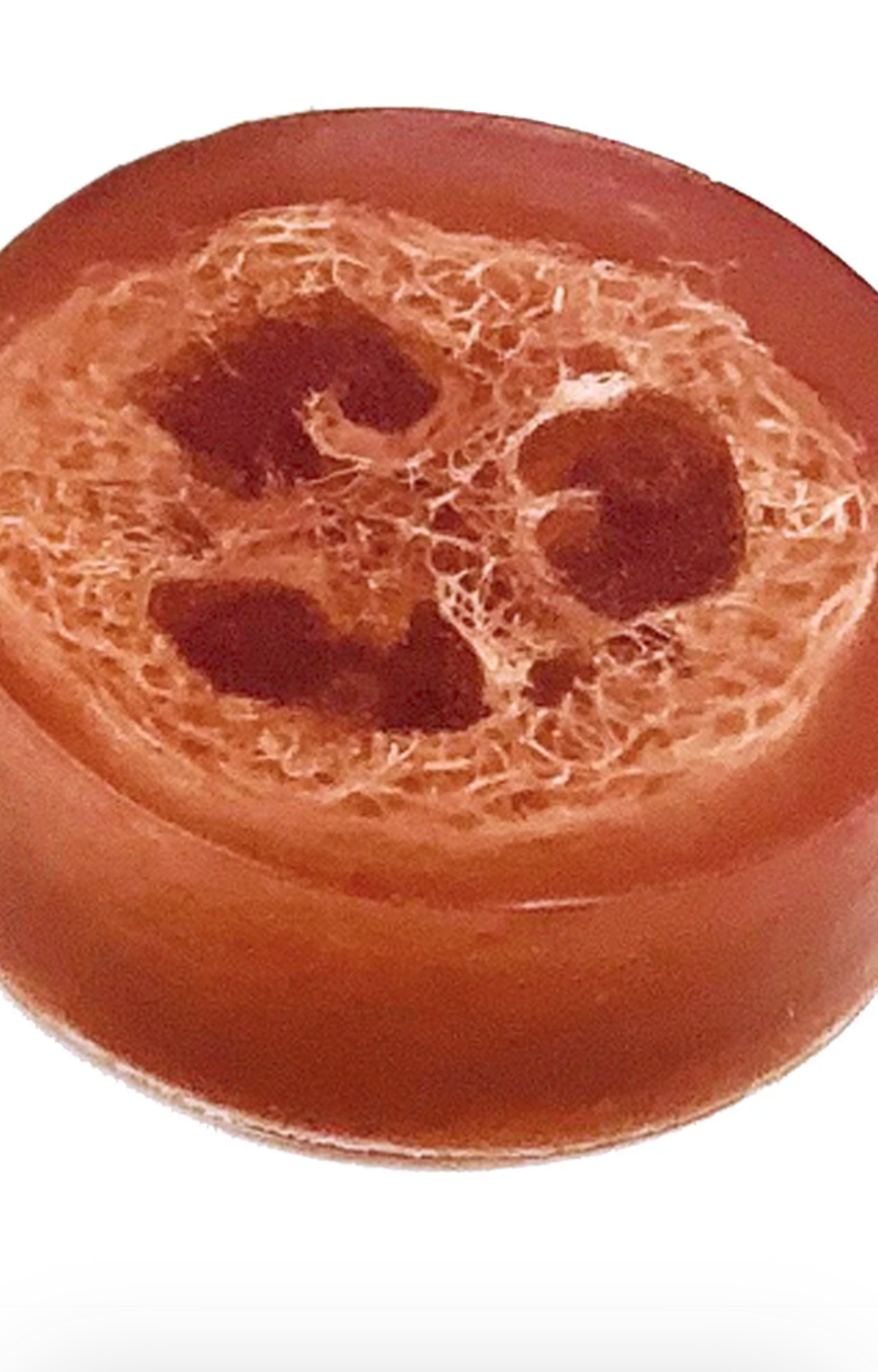 Apple & Sage Loofah Bar Soap