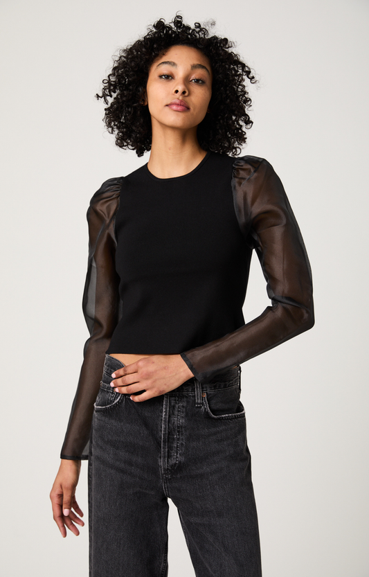Black Organza Sleeve Top